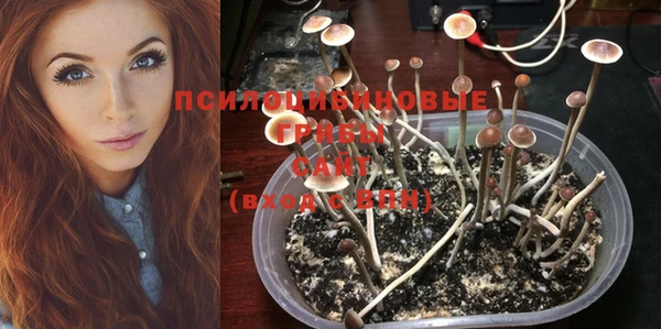 альфа пвп Кодинск