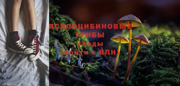 молекула духа Володарск